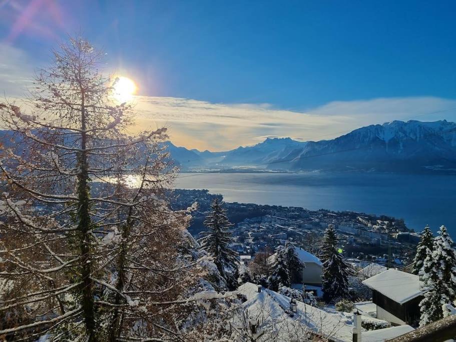 Le Toit De Chardonne - Entre Alpes Et Lac Leman Экстерьер фото