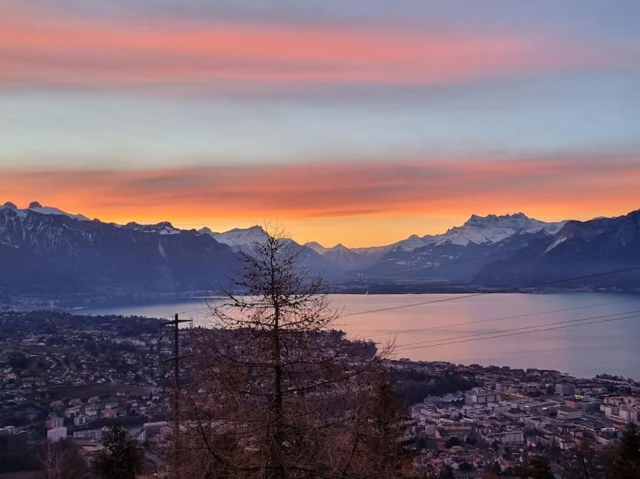 Le Toit De Chardonne - Entre Alpes Et Lac Leman Экстерьер фото